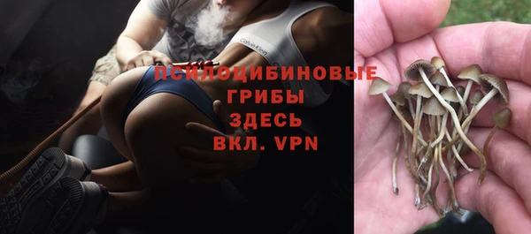 твердый Алзамай