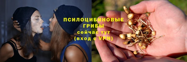 прущие грибы Алексин