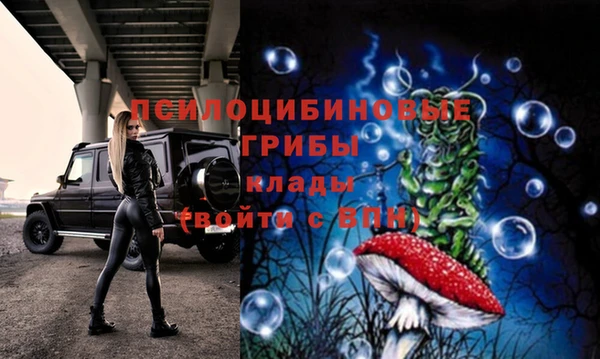 круглые Алексеевка