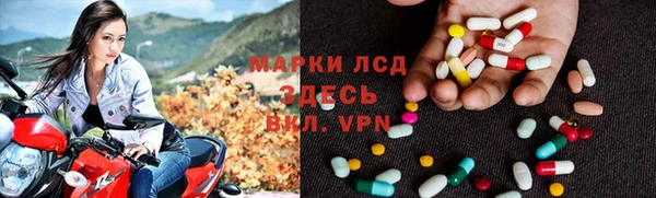 прущие грибы Алексин